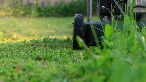 Lawn Mower Cutting Grass Small Grass Cuttings Fly Out of Lawnmower Grass Clippings Get Spewed Out of