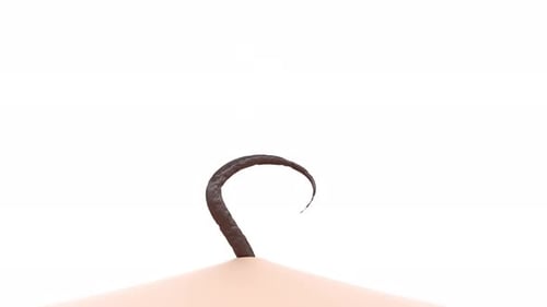 3D Skin Care Hair Grow