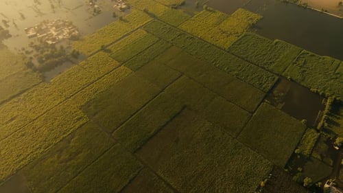 Aerial view of Flood covering Punjab, Pakistan, destroying agriculture and houses in 2025. Tilt up