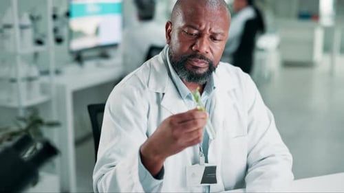 Science, man and test tube with plant in laboratory for sample inspection