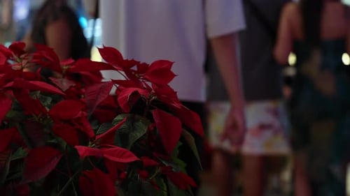 Crowds of People on the Streets of the City Pedestrians and Tourists City Life and the Movement of