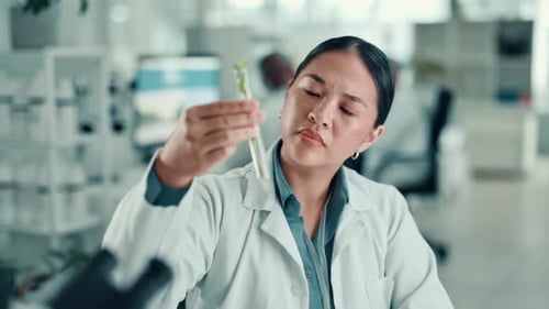 Science, inspection and woman with plant sample in lab for medical research