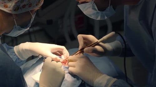 Highly Skilled Surgeons Performing a Delicate Operation in a Modern Hospital Theater