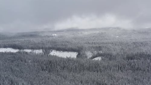 Aerial of a snowy landscape, a forest covered in snow and ice with fog passing by