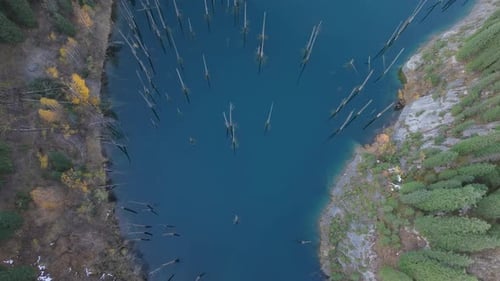 La perspectiva aérea captura un lago tranquilo con árboles sumergidos que muestran colores vibrantes y