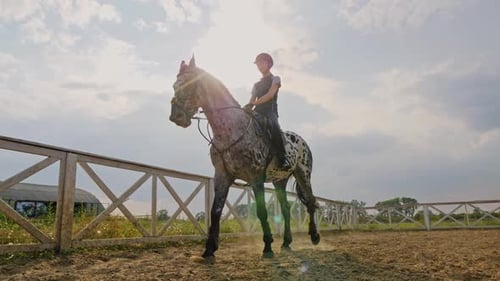 Young Girl Jockey on a Horse Outdoors Slow Motion