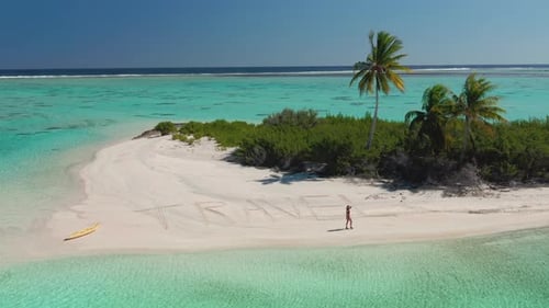 Conceito de viagem: Ilha tropical selvagem aérea no mar