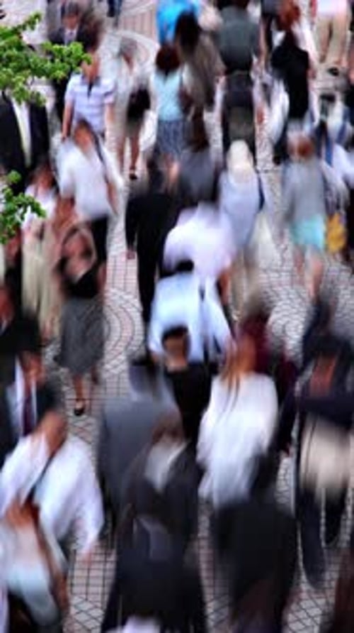 Crowded Sidewalk Tokyo Time Lapse