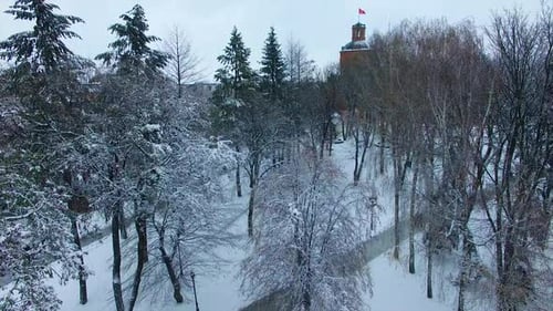Winter park at daytime. Drone rising over the snowy trees opening the panorama of a big city.