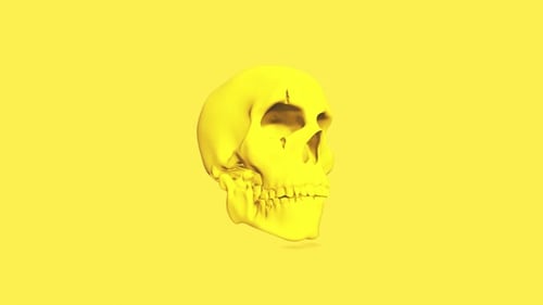 Yellow Skull