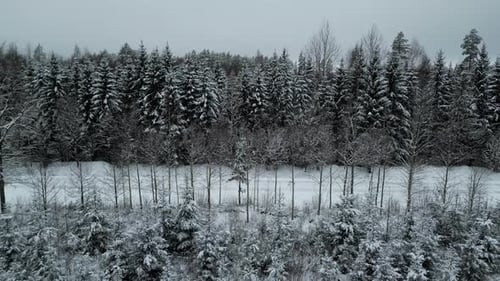 Aerial tracking shot of a road in middle of snowy forest on a dark, cloudy day