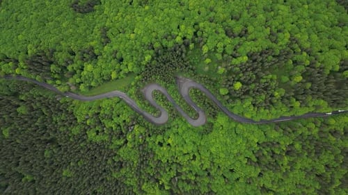 Snake Path On Mountains