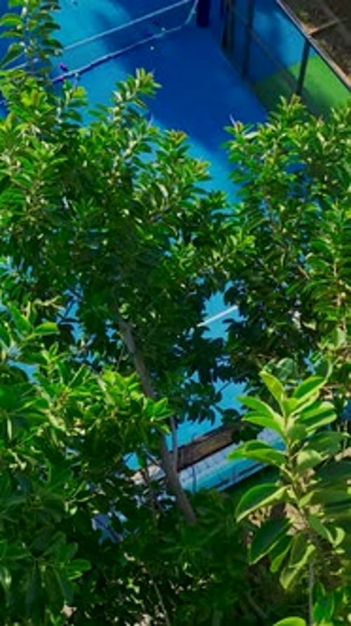 Vertical Video HighAltitude View of Paddle Tennis Game on a Bright Court with Active Players in