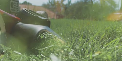 Cutting grass with lawn mower