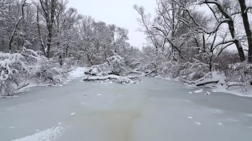 Icy Frozen River in Cold Winter Forest