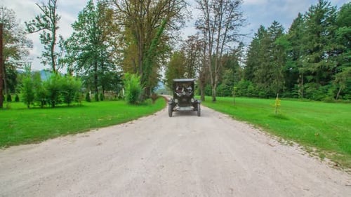 A slow-motion dynamic dolly shot of a black vintage car driving through a path surrounded by nature.