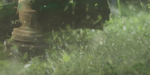 Hand lawn mower mowing grass