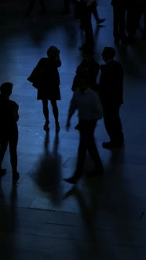 Crowds of Pedestrians Walking in Urban Metropolis