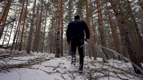 Man Walking In Snowy Forest
