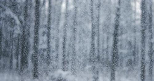 Winter landscape during snowfall. Winter Christmas abstract background on super slow motion.