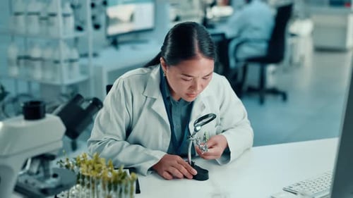 Science, lab and woman with magnifying glass for plant for medical research