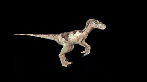Velociraptor Dinosaur Idle 2