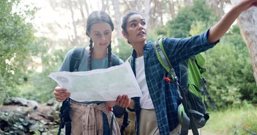 Hiking, happy and women with map in nature for direction, navigation and location in forest