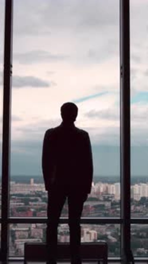 Rear View of Businessman in an Office with Panoramic City View Businessman Admires the City From the