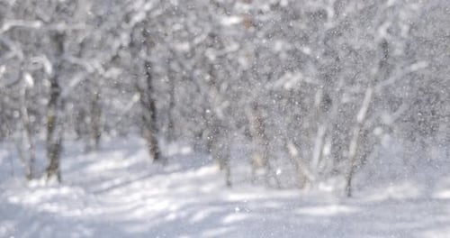 Winter landscape during snowfall. Winter Christmas abstract background on super slow motion.