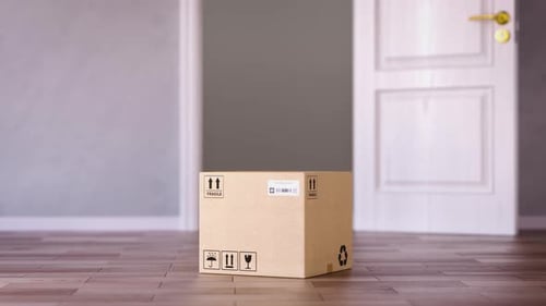 Express Delivery Concept Stopwatch in a Cardboard Box in Fron of Open Door 3d Animation