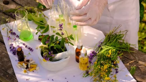 Foco seletivo em ervas medicinais de medicina alternativa