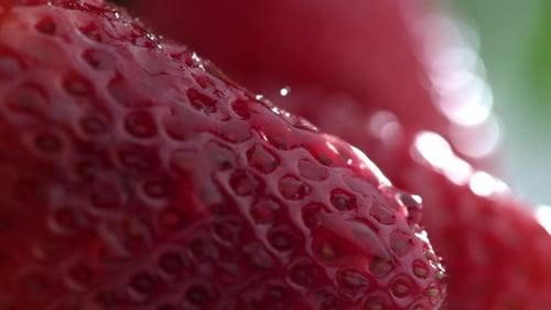 Extreme Close-Up of Water Drip on Strawberry in ; On