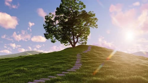 Tree on Top of Hill stairs