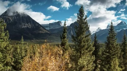 From India to Sri Lanka: A Tidal Tale of Two Countries