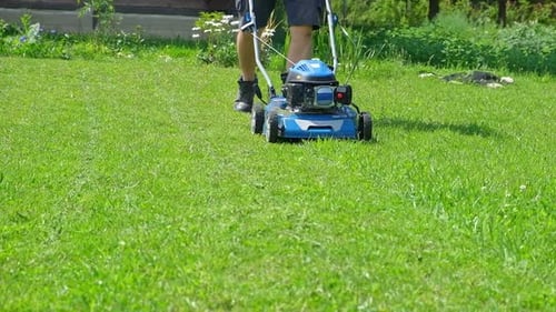 Lawn Mower Cutting Grass Small Grass Cuttings Fly Out of Lawnmower Grass Clippings Get Spewed Out of