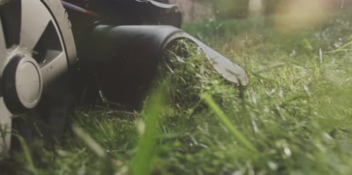Lawn mower cutting grass
