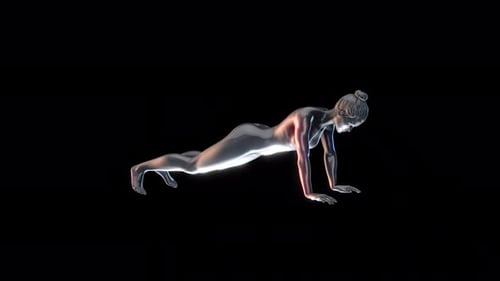 Female Anatomy Exercise Plank