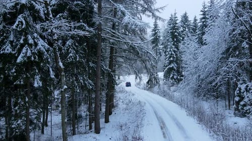 Car driving on snowy road surrounded by snow covered fir trees during bright day in december,aerial