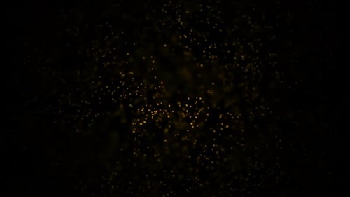 Glittering Gold Particles With Bokeh. Slow motion. Flickering Particles