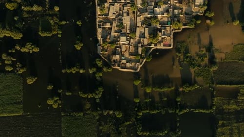 Flood covering Punjab, Pakistan, destroying houses and submerging trees in 2025