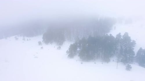 Winter Aerial View - 4K