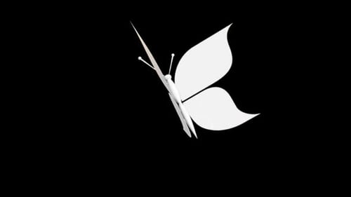White Butterfly