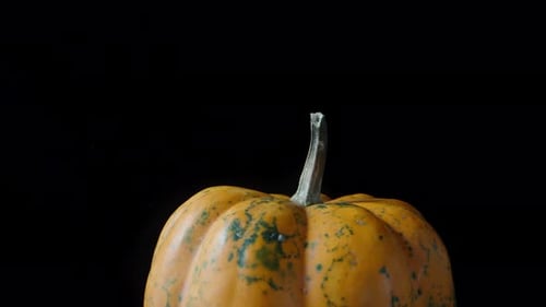Yellow pumpkin with green spots rotates on a black background, close-up. Dolly slider extreme close-