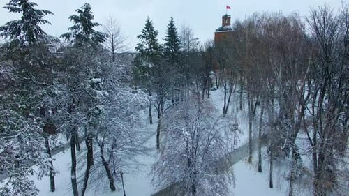 Winter park at daytime. Drone rising over the snowy trees opening the panorama of a big city.
