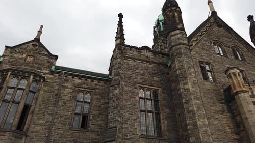 The University of Trinity College