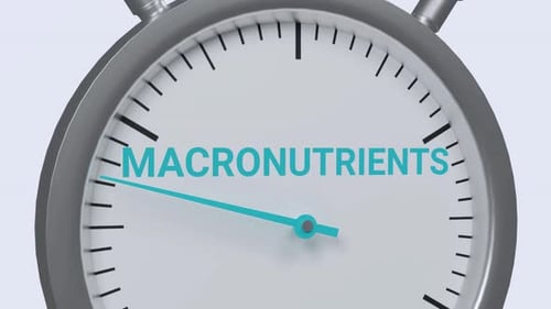 Macronutrients increasing