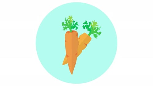 Carrot