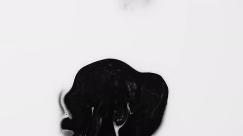 Abstract Background Video Alpha Matte Black Color Covers White