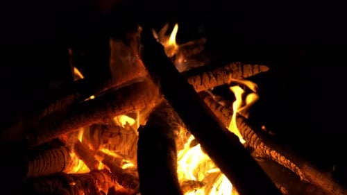 Camping Fire (4K)