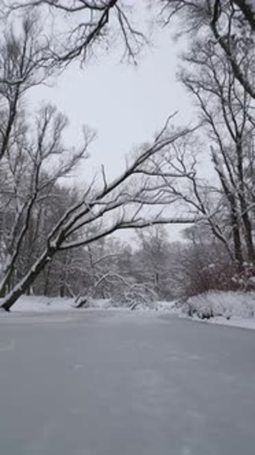Icy Frozen River in Cold Winter Forest Aerial